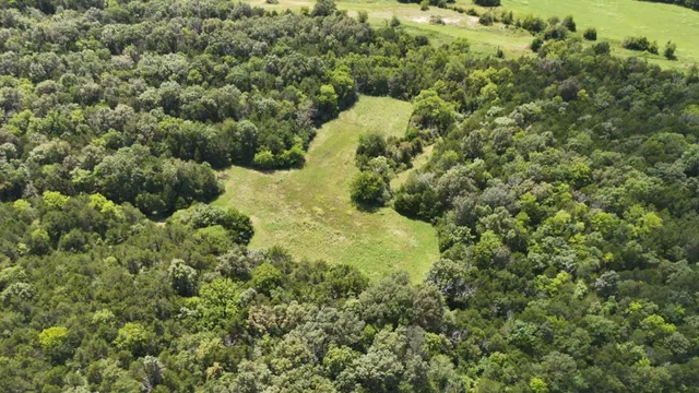 an aerial view of a forest with houses