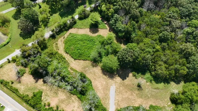 a view of a garden with plants