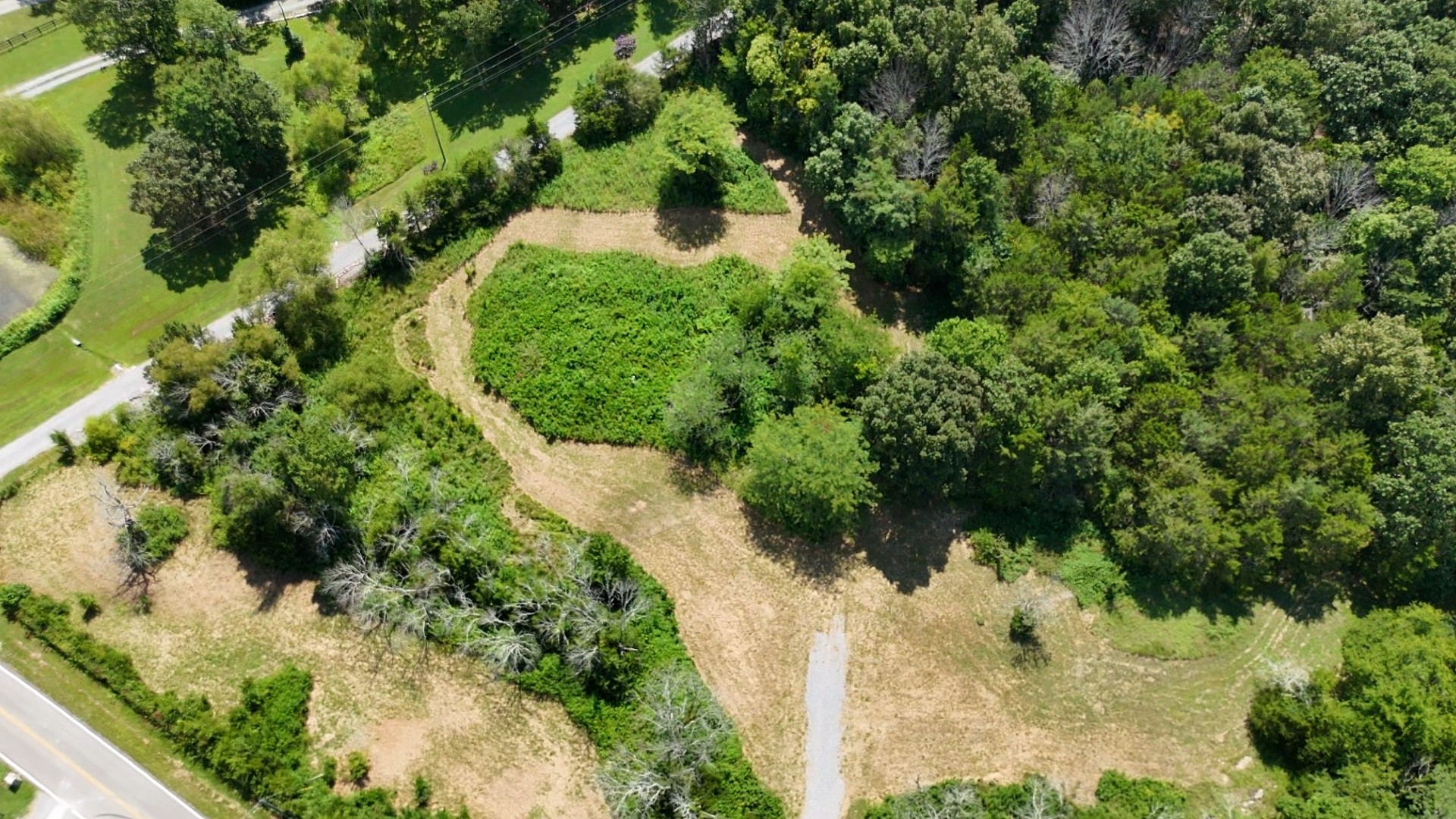 0 Murray-Kittrell Road Readyville, TN 37149 - Photo 2 of 25 a view of a garden with plants