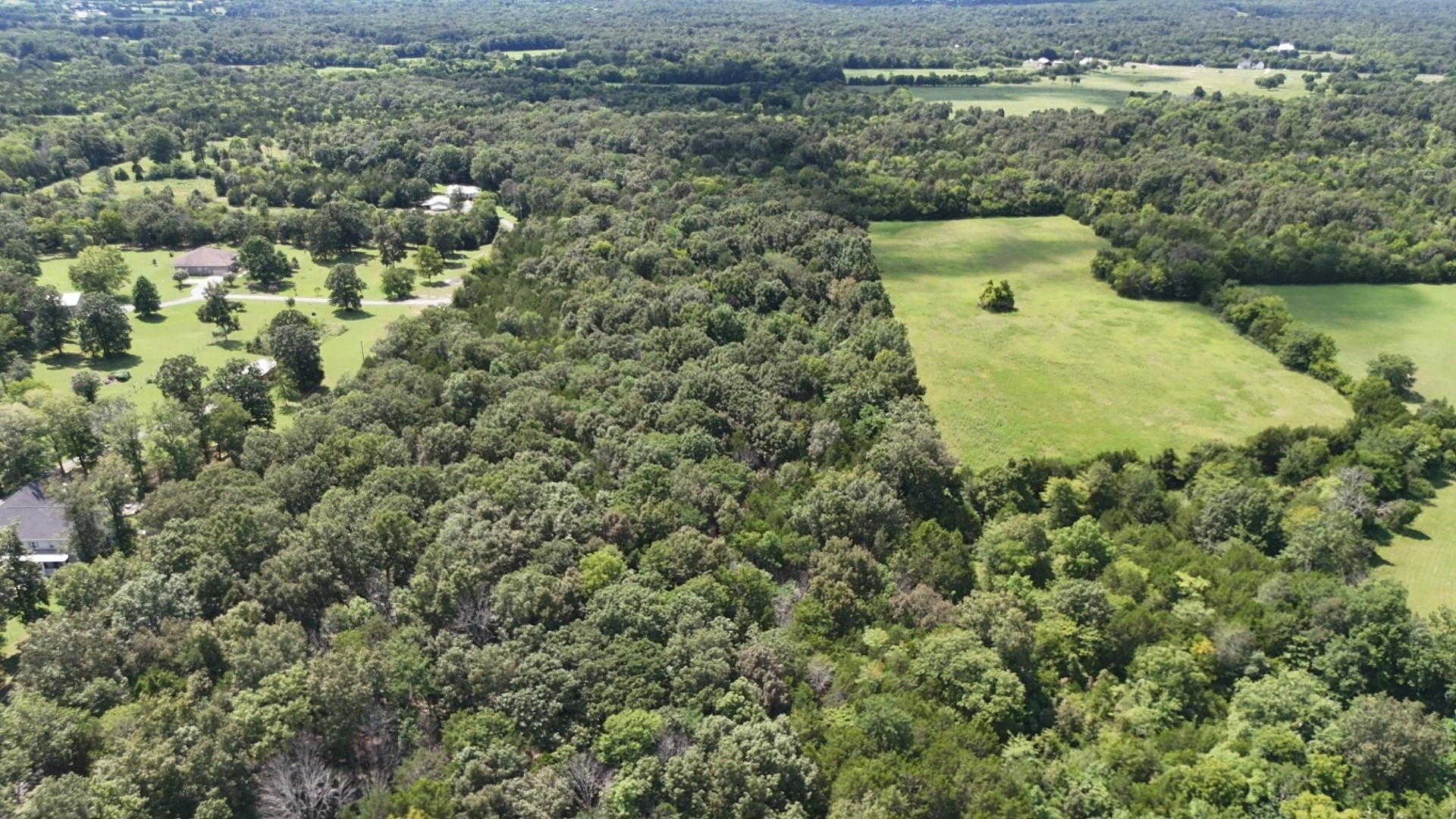 0 Murray-Kittrell Road Readyville, TN 37149 - Photo 22 of 25 a view of a forest with a sink