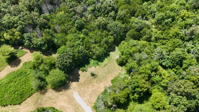 a black and white photo of a living room