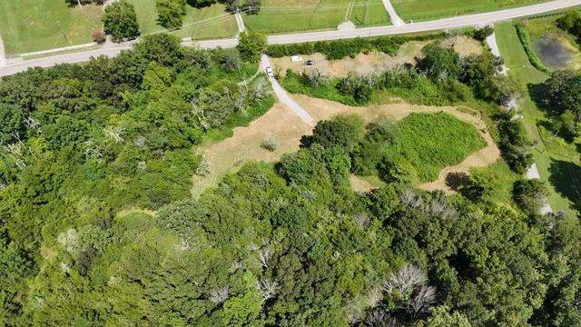 a view of a yard in a garden