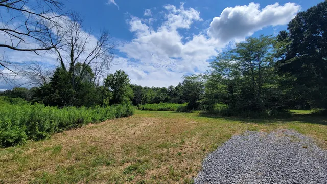 a view of a trees with a yard