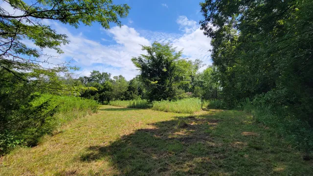 a big yard with lots of green space and deers
