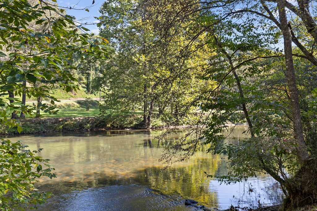 96 Holiday Court Ellijay, GA 30540 - Photo 4 of 51