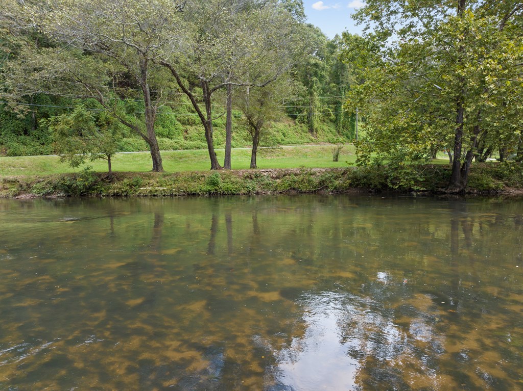 96 Holiday Court Ellijay, GA 30540 - Photo 5 of 51