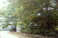 5480 East Bennett Road, Unit B Free Soil, MI 49411 - Photo 1 of 4 Primary Photo