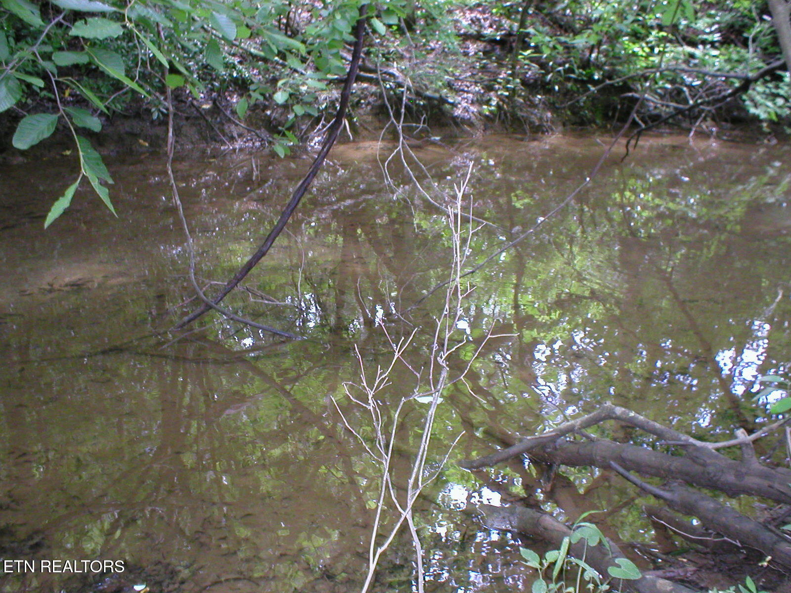 50 East Cove Road Monterey, TN 38574 - Photo 1 of 23 East Cove PIc 8