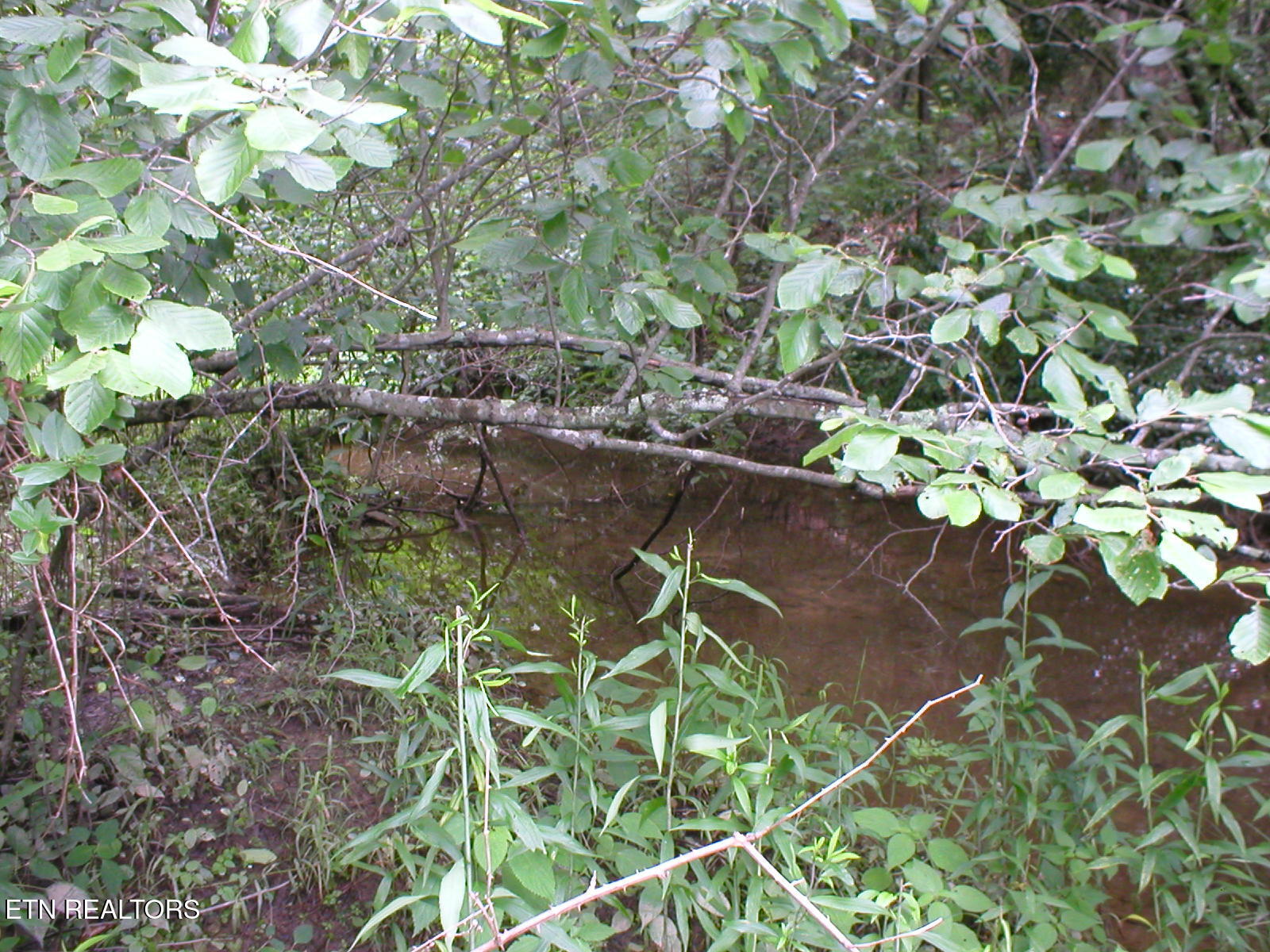 50 East Cove Road Monterey, TN 38574 - Photo 11 of 23 East Cove PIc 2