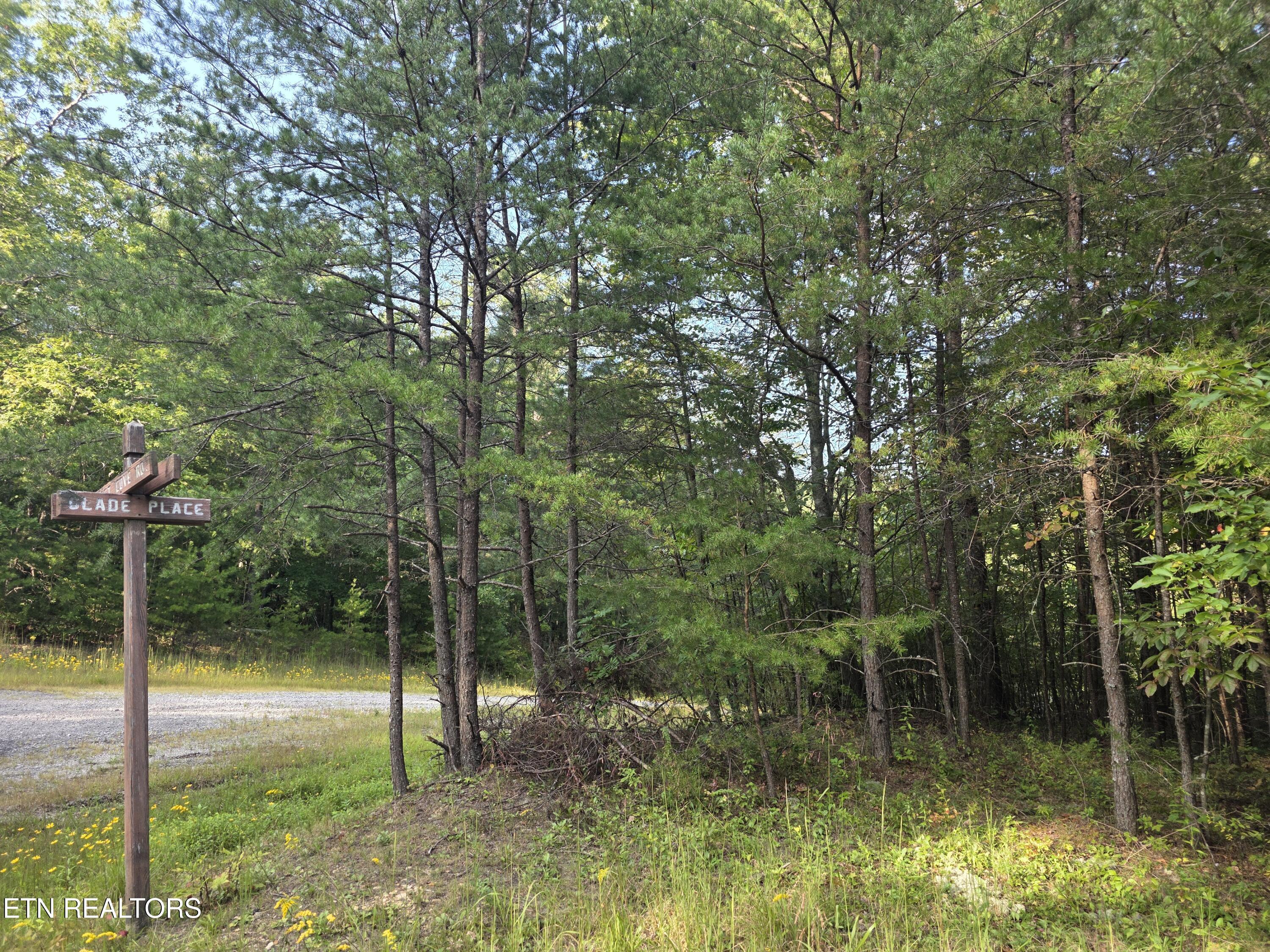 50 East Cove Road Monterey, TN 38574 - Photo 14 of 23 1000009357