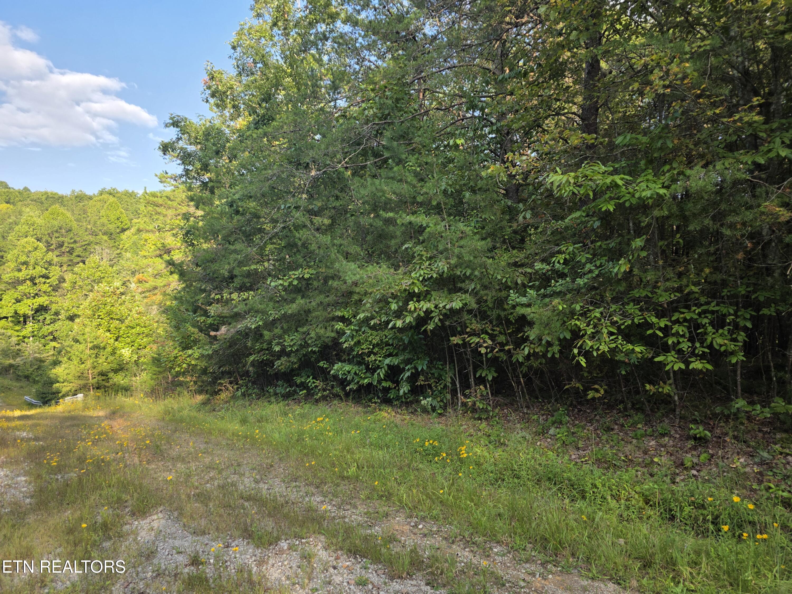 50 East Cove Road Monterey, TN 38574 - Photo 21 of 23 1000009364