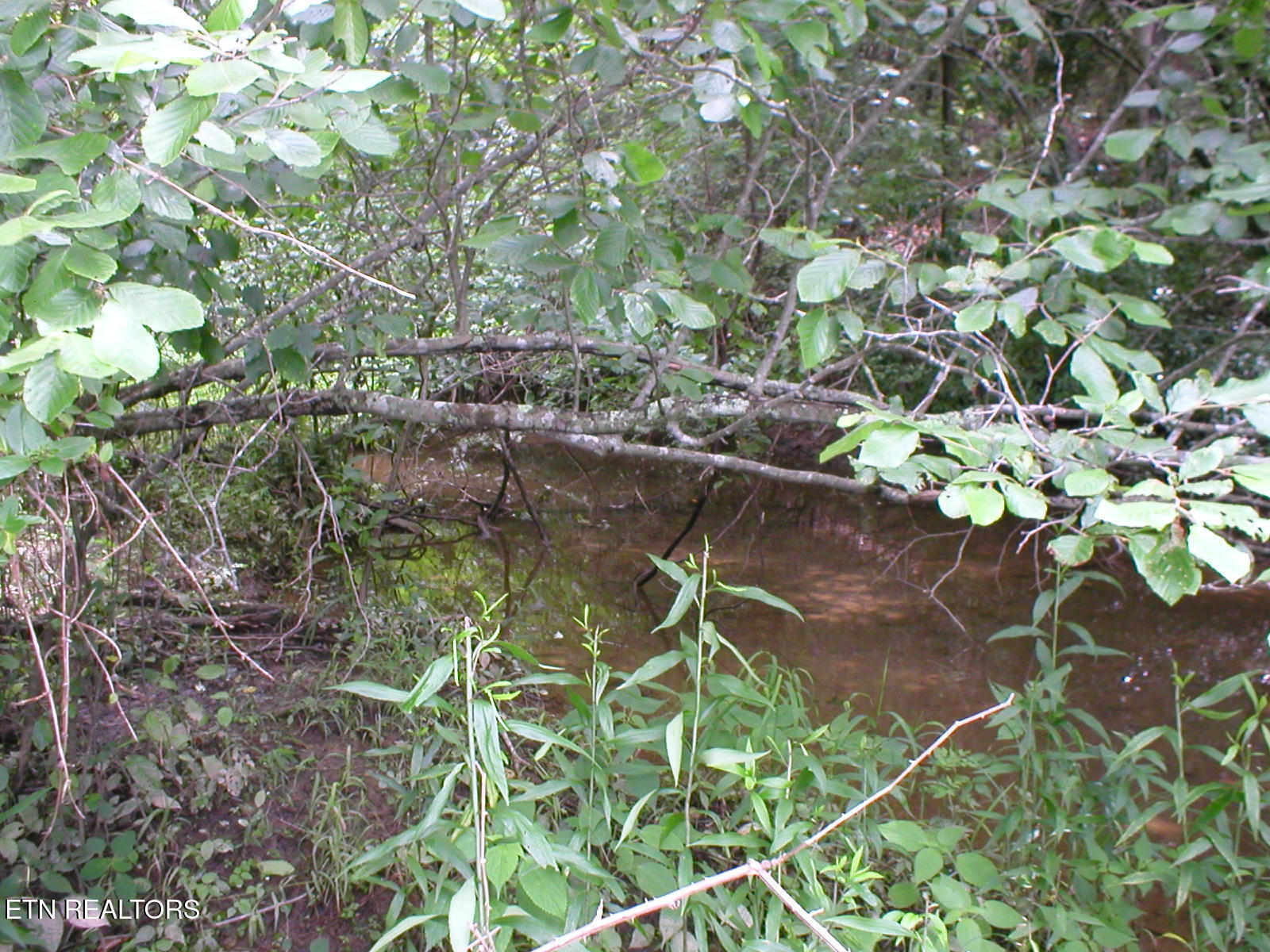 50 East Cove Road Monterey, TN 38574 - Photo 4 of 23 East Cove PIc 11