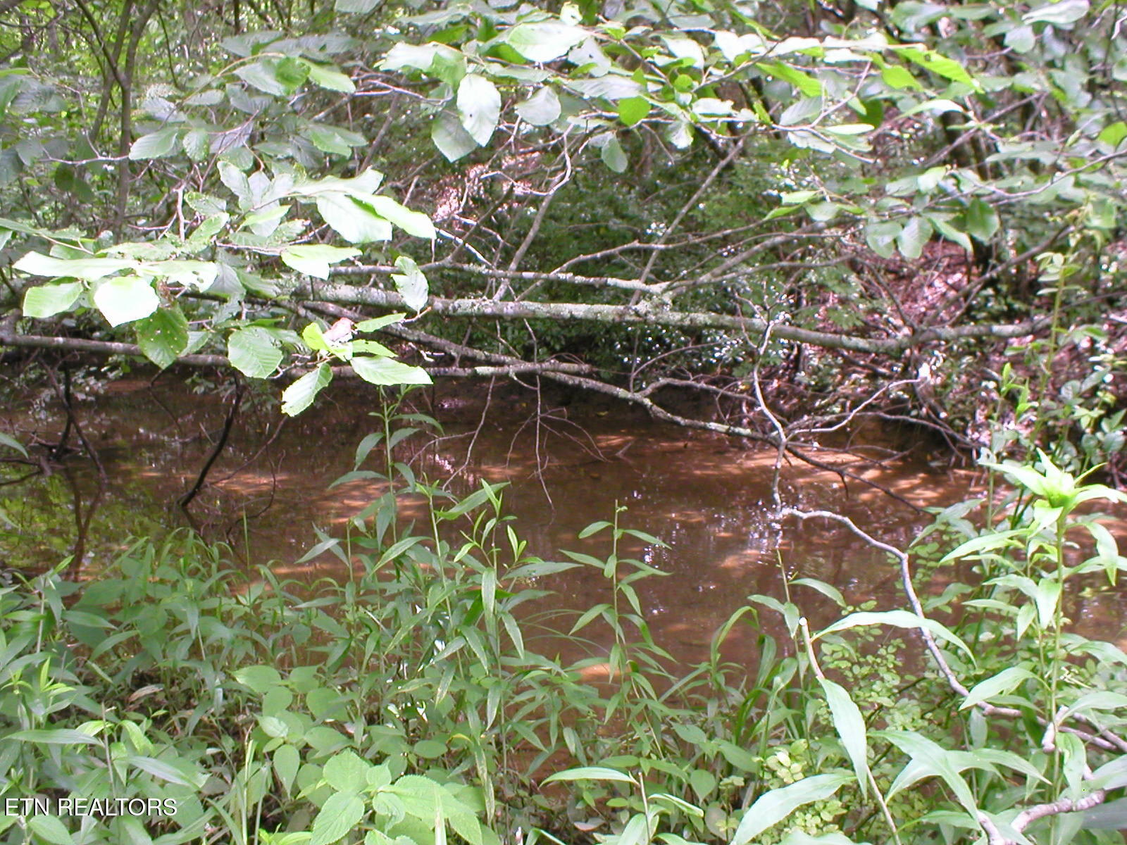 50 East Cove Road Monterey, TN 38574 - Photo 5 of 23 East Cove PIc 10