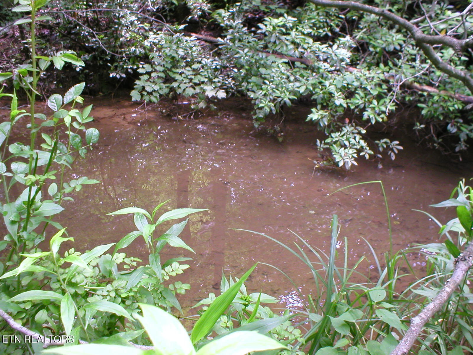 50 East Cove Road Monterey, TN 38574 - Photo 7 of 23 East Cove pic 7