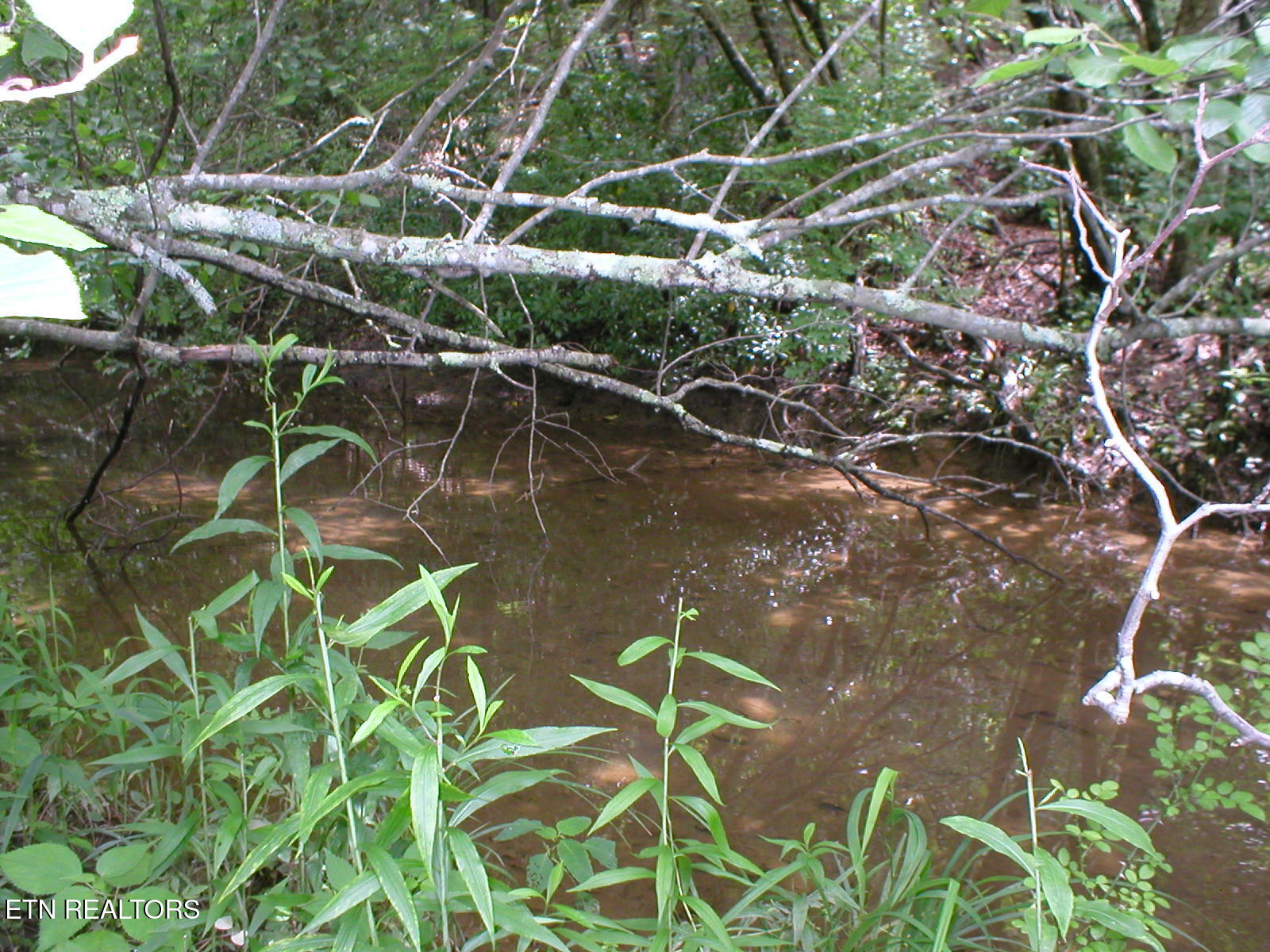 50 East Cove Road Monterey, TN 38574 - Photo 8 of 23 East Cove PIc6