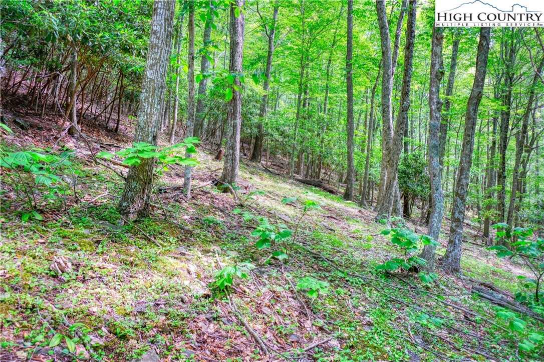 Lot 18 Quail Ridge Drive Fleetwood, NC 28626 - Photo 5 of 10