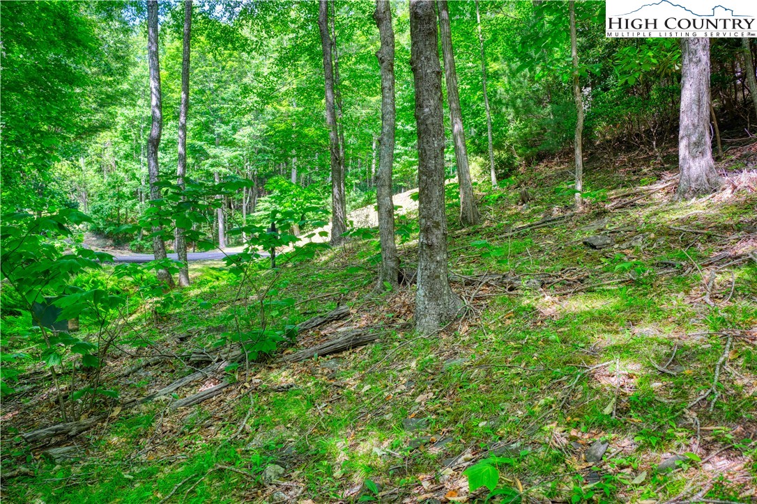 Lot 18 Quail Ridge Drive Fleetwood, NC 28626 - Photo 9 of 10