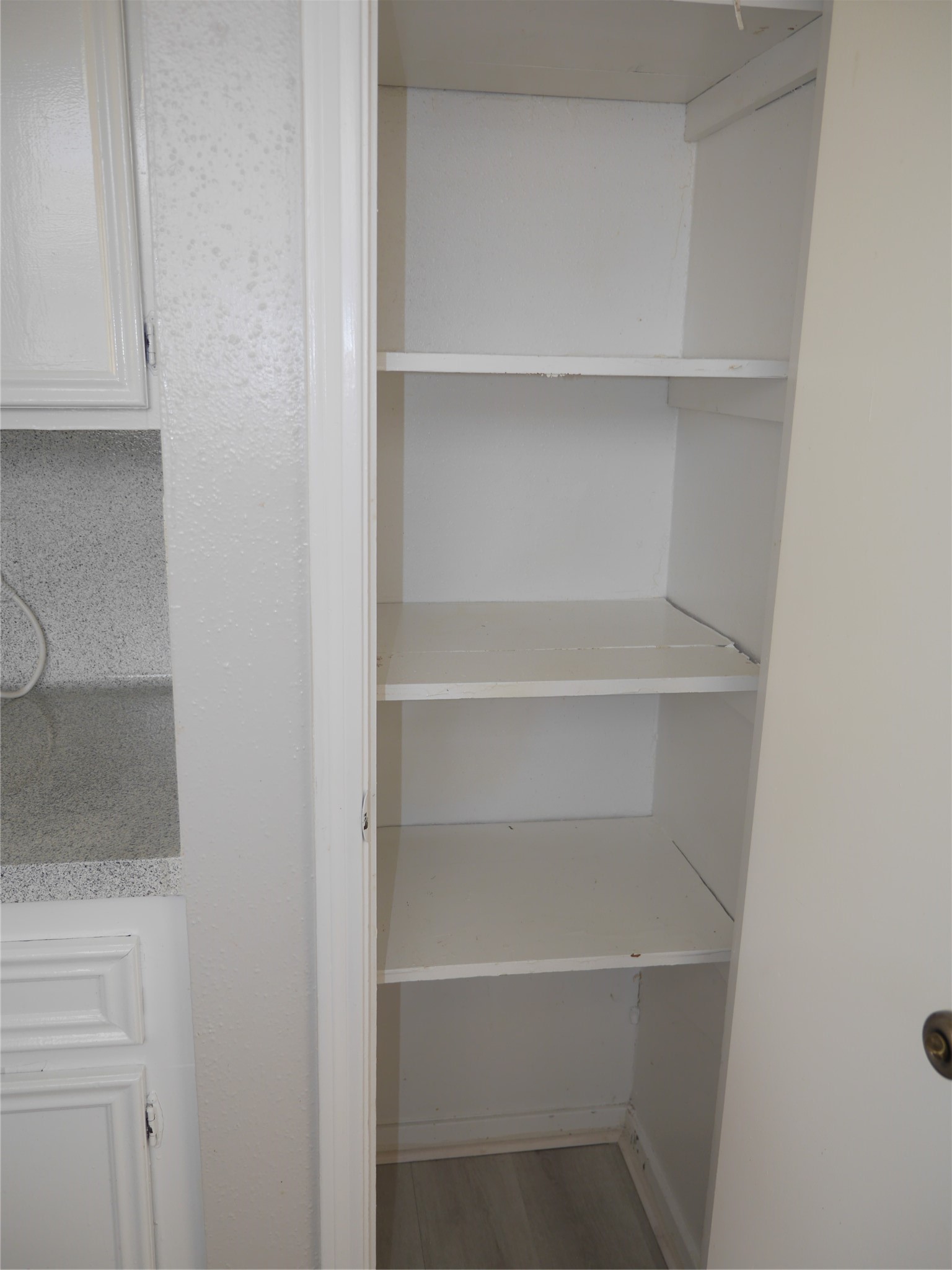 7410 Canasta Lane Houston, TX 77083 - Photo 11 of 33 a view of walk in closet with empty racks