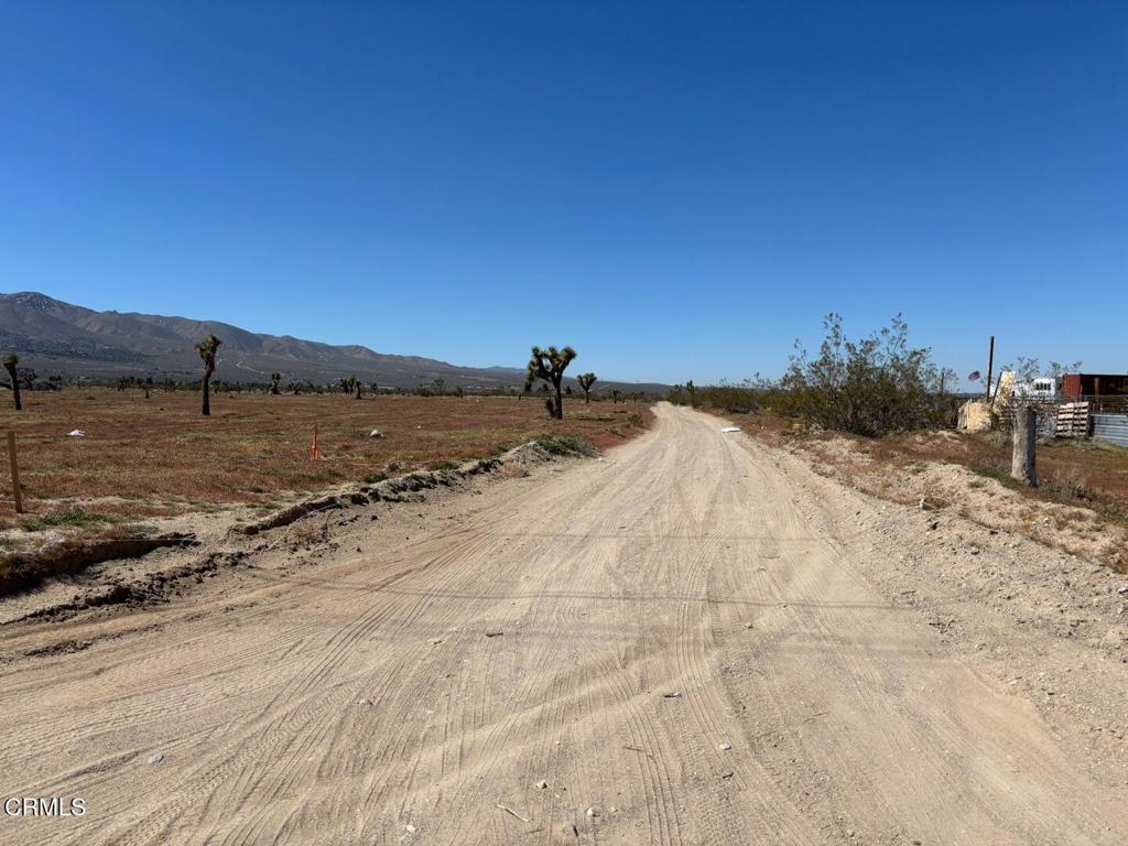 0 Buena Vista Road Lucerne Valley, CA 92356 - Photo 1 of 4 2