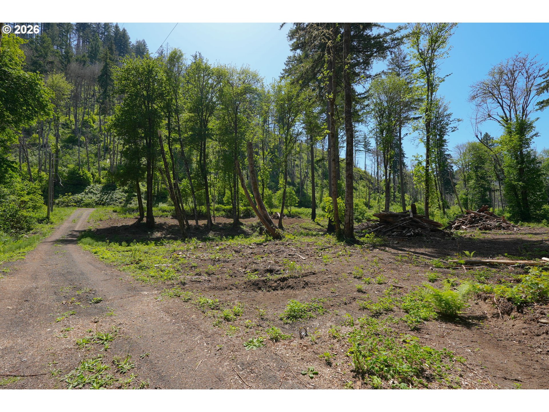 Goodpasture Road, Unit 1809 Vida, OR 97488 - Photo 11 of 24