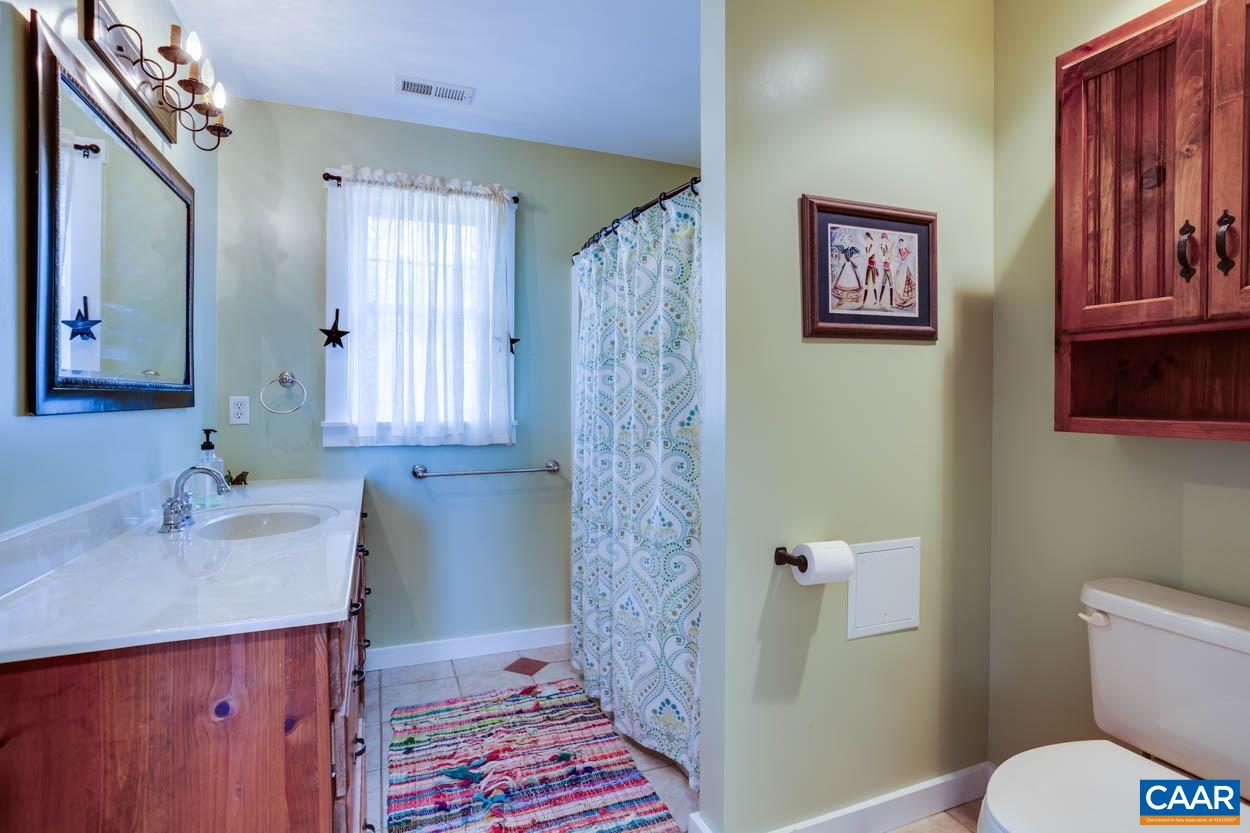 5289 Free Union Road Free Union, VA 22940 - Photo 32 of 63 a bathroom with a sink a toilet and shower curtain
