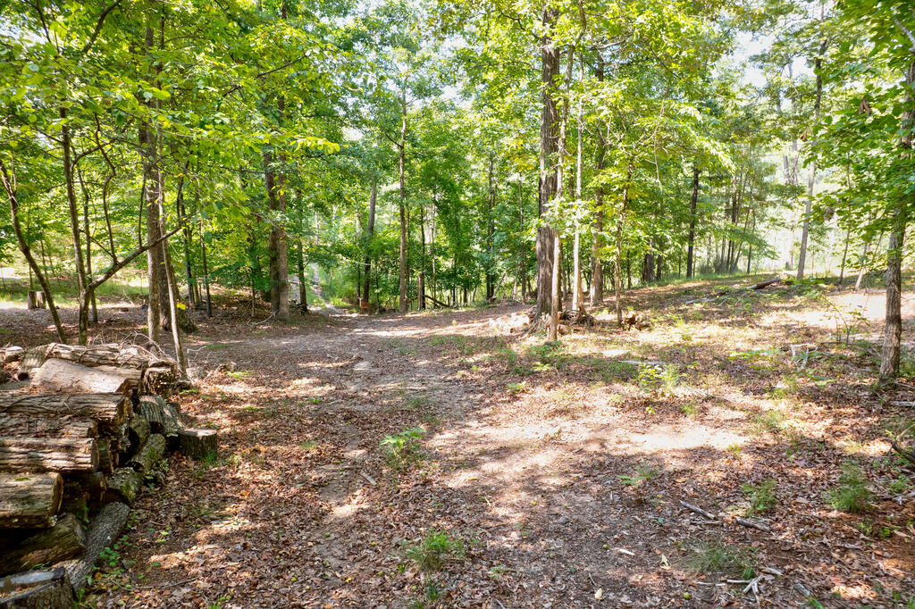 7.58-ac James Ed Road Gainesville, GA 30506 - Photo 8 of 22 Gallery Image 8