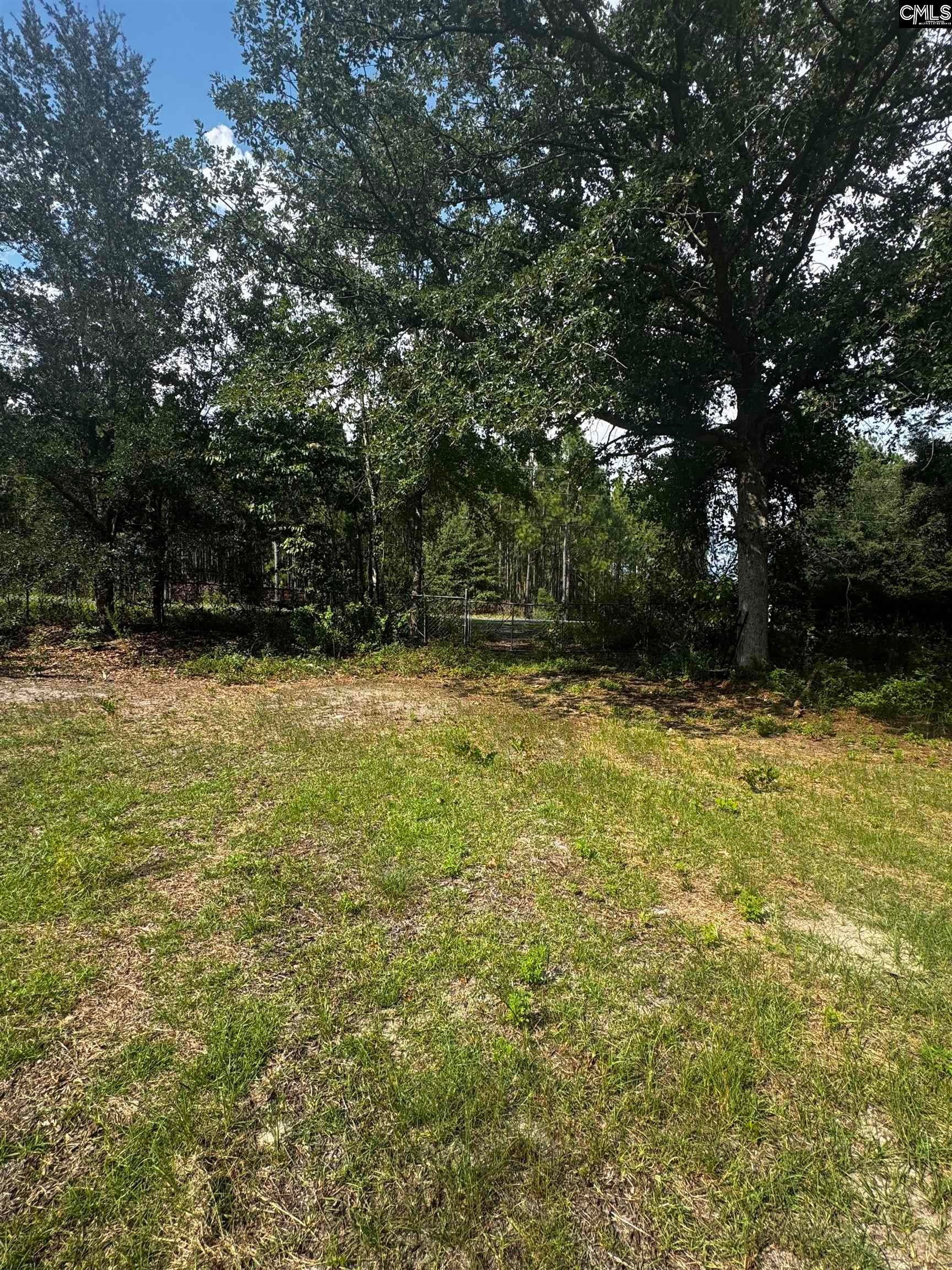 116 Rob Teal Road Patrick, SC 29584 - Photo 4 of 7 Gallery Image 4