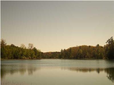11996 Baker Road Greenville, MI 48838 - Photo 11 of 24 Additional Photo