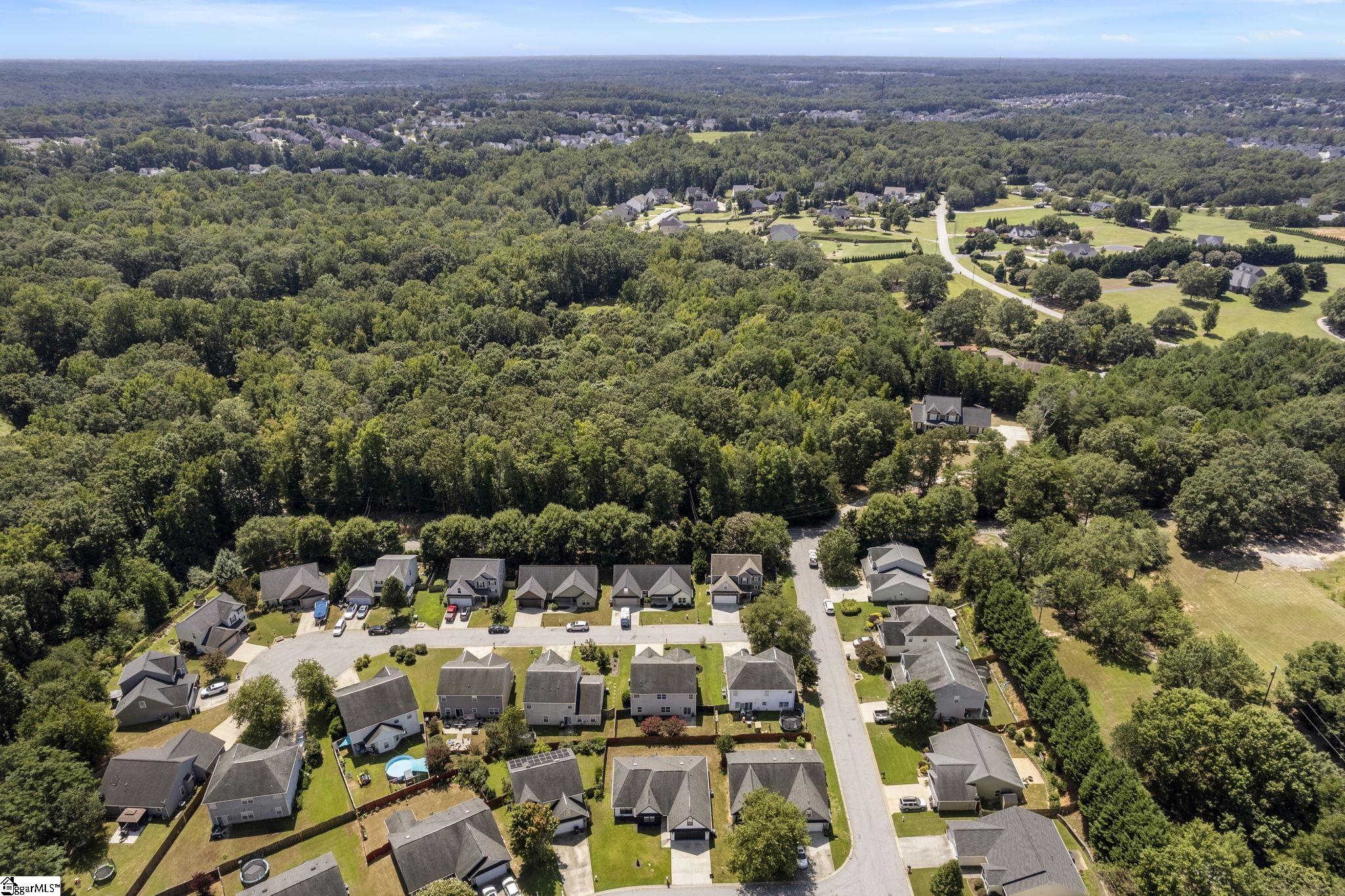 3 Milo Court Simpsonville, SC 29680 - Photo 42 of 45