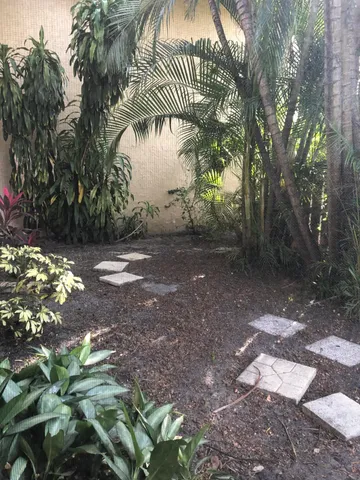 a wooden door with view of palm trees