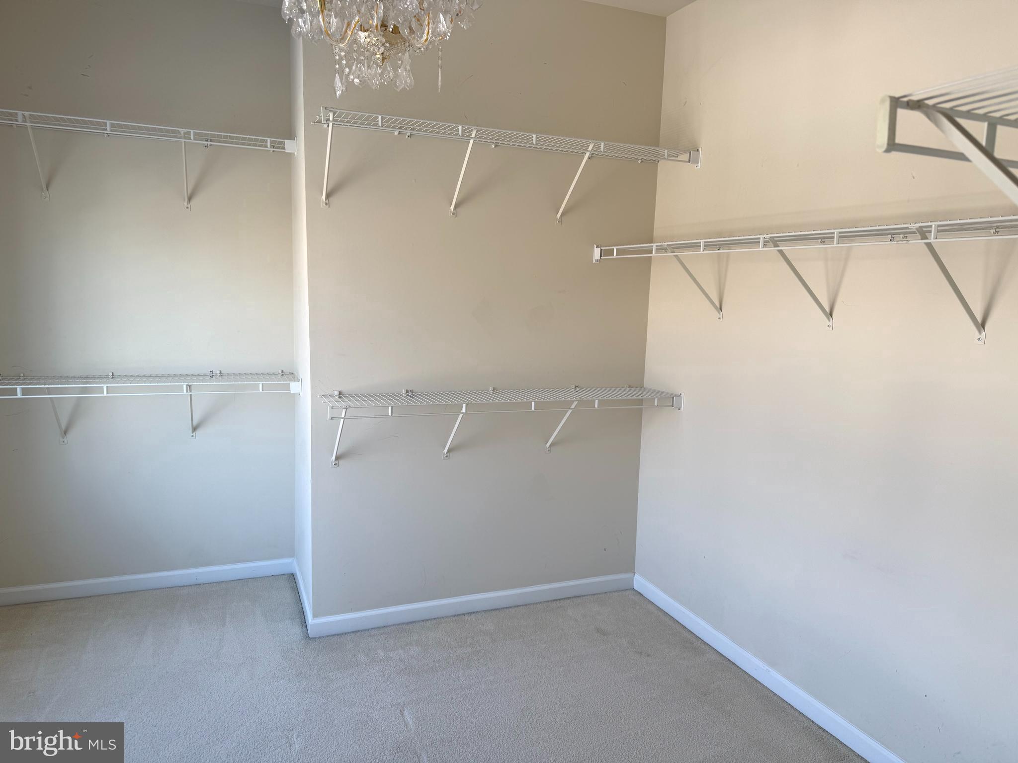 2635 Stoneridge Road Winchester, VA 22601 - Photo 14 of 21 Primary walk-in closet