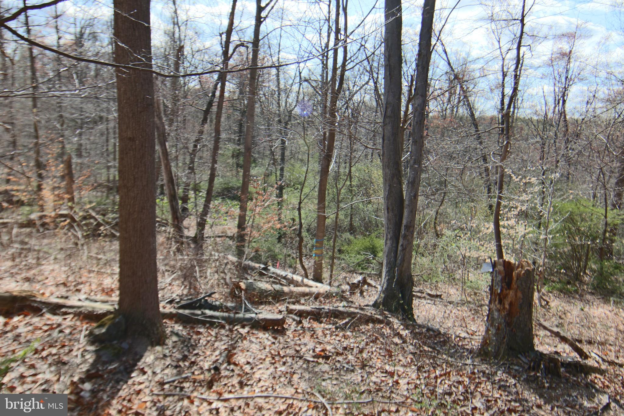 0 South Forge Road Palmyra, PA 17078 - Photo 1 of 15