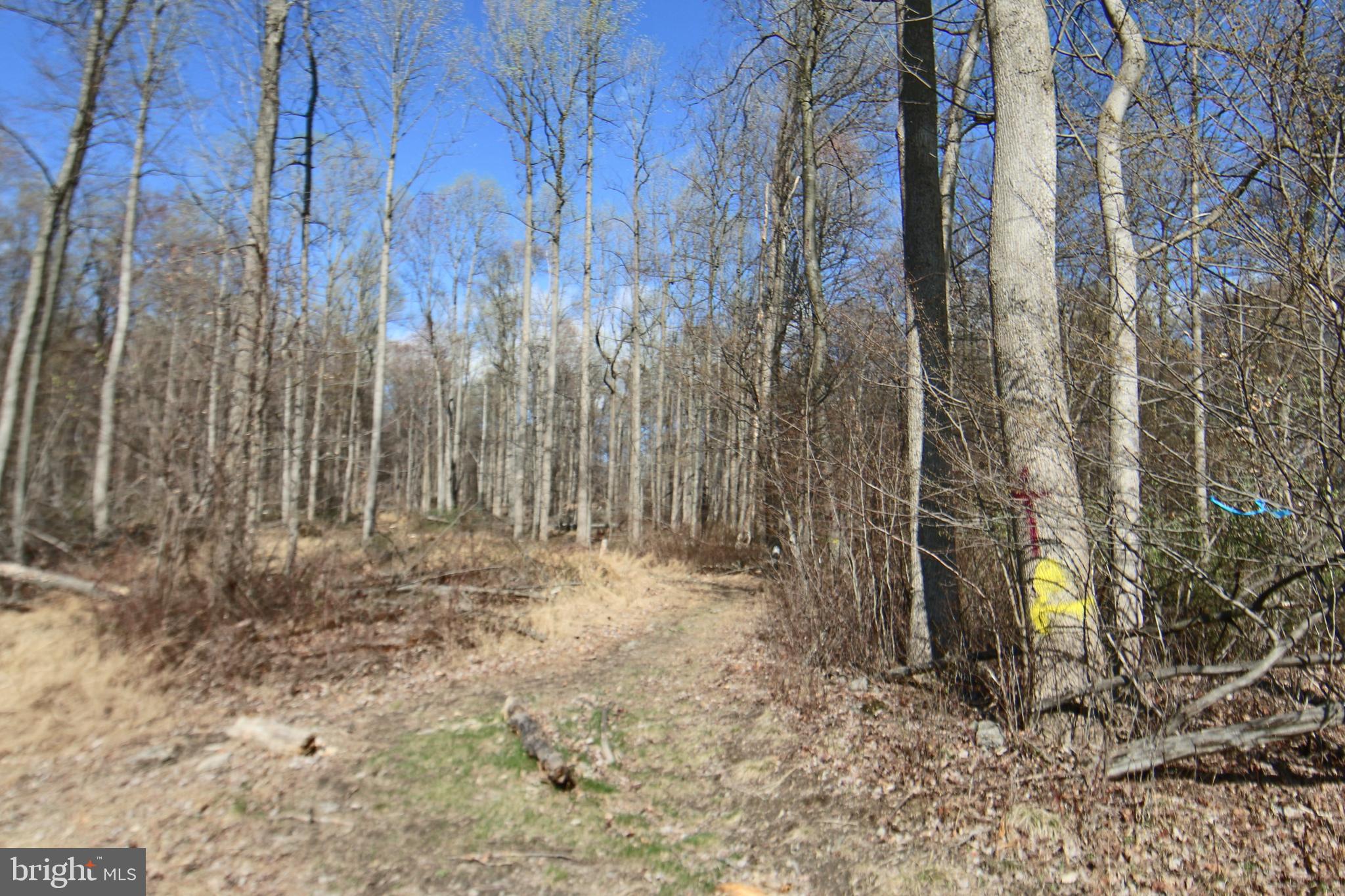 0 South Forge Road Palmyra, PA 17078 - Photo 11 of 15