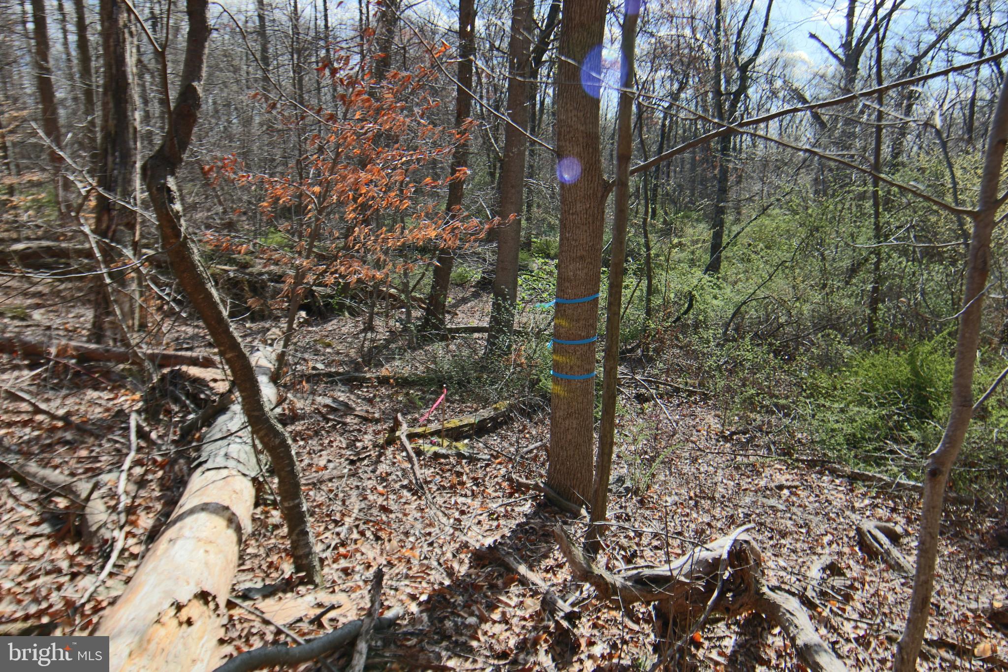 0 South Forge Road Palmyra, PA 17078 - Photo 2 of 15 Lower left front corner markings