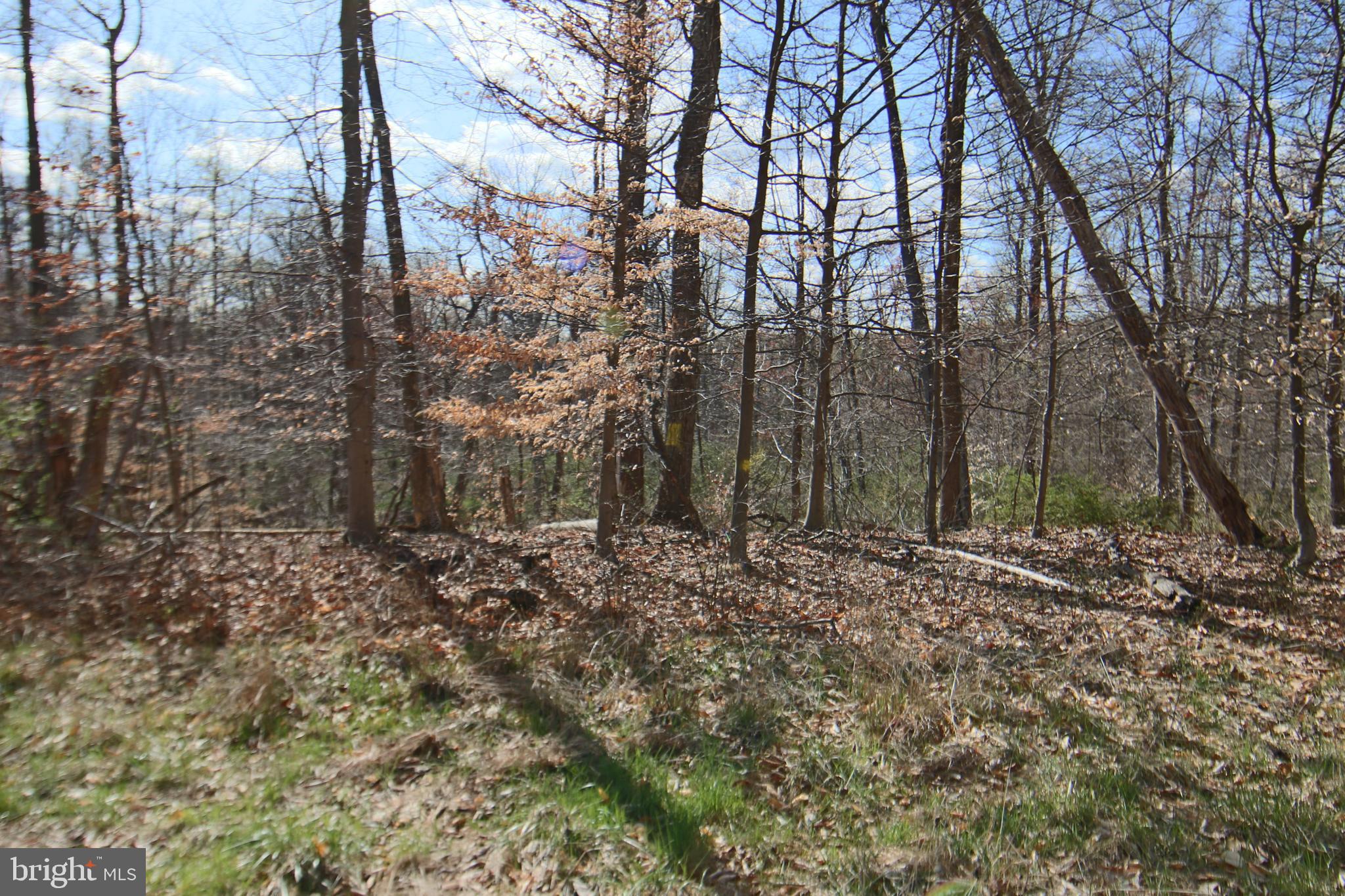 0 South Forge Road Palmyra, PA 17078 - Photo 3 of 15
