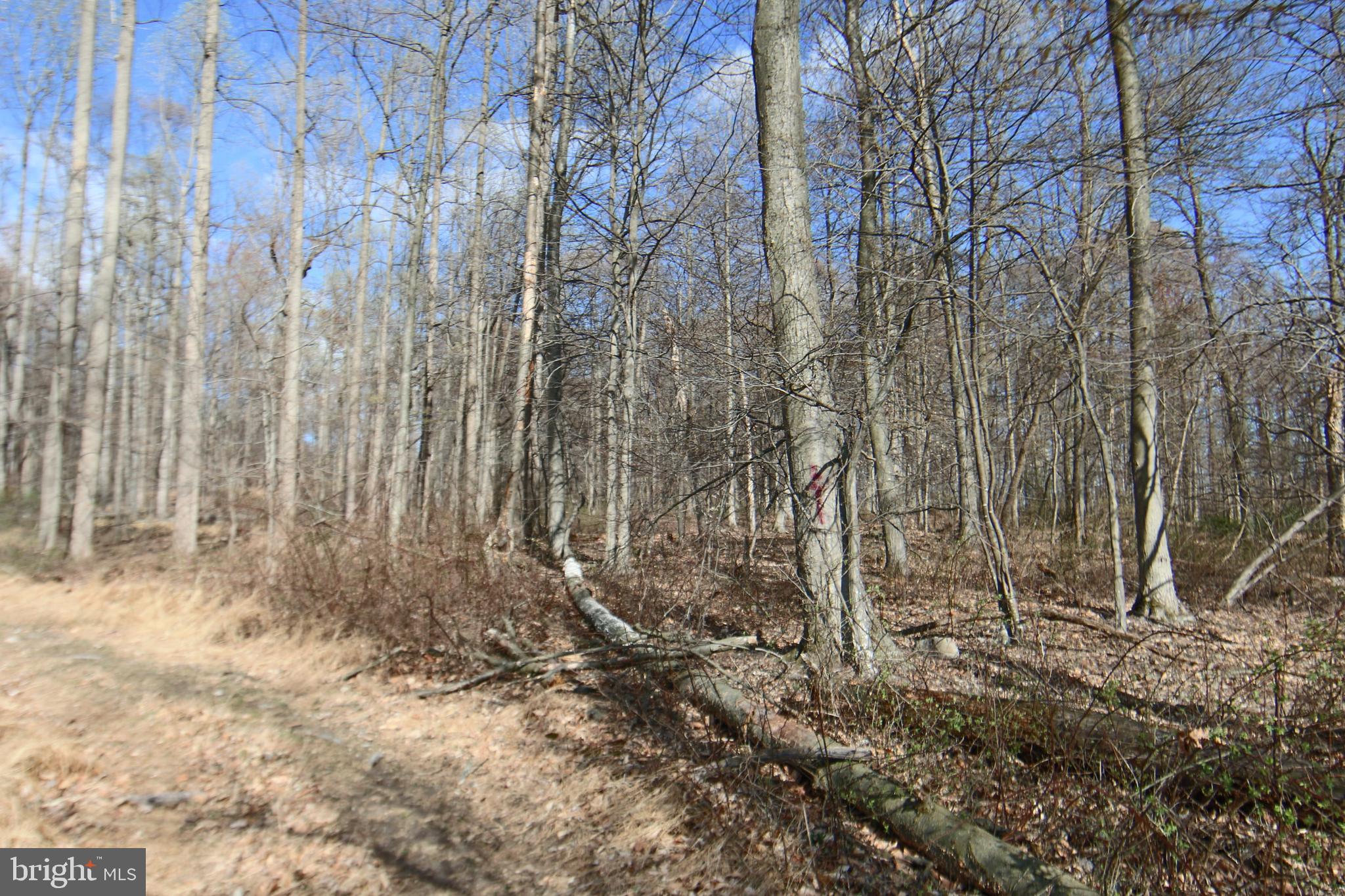 0 South Forge Road Palmyra, PA 17078 - Photo 6 of 15