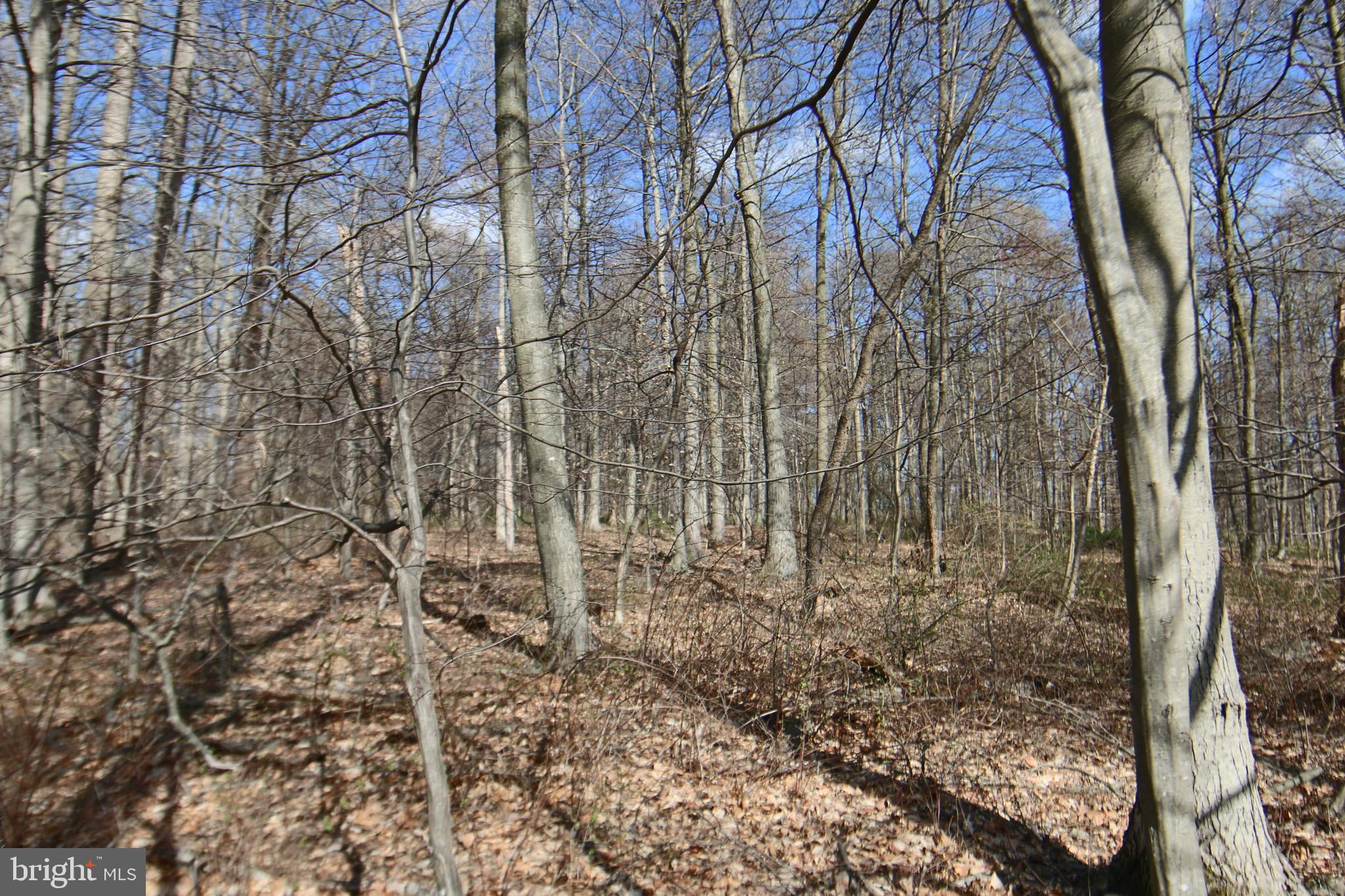 0 South Forge Road Palmyra, PA 17078 - Photo 7 of 15