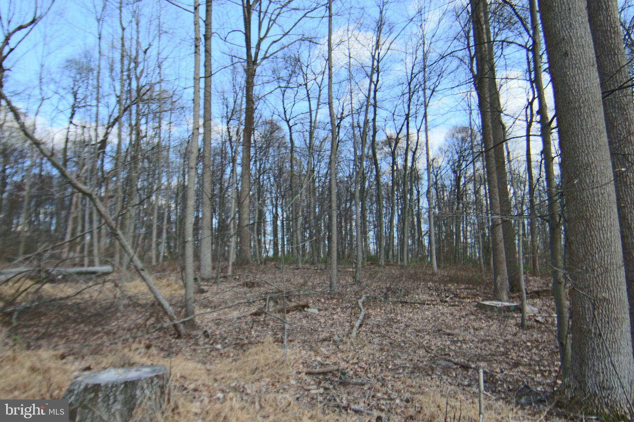0 South Forge Road Palmyra, PA 17078 - Photo 8 of 15
