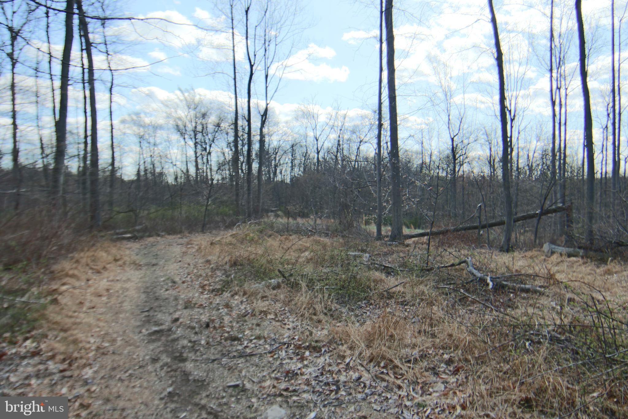 0 South Forge Road Palmyra, PA 17078 - Photo 10 of 15
