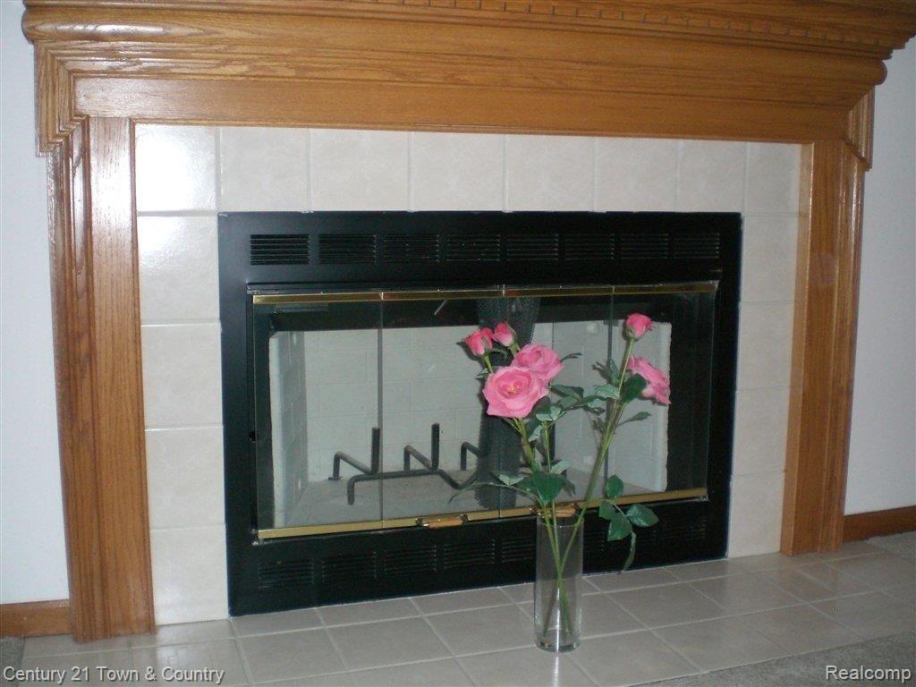 979 River Mist Drive Rochester, MI 48307 - Photo 21 of 24 Natural Fireplace.jpg