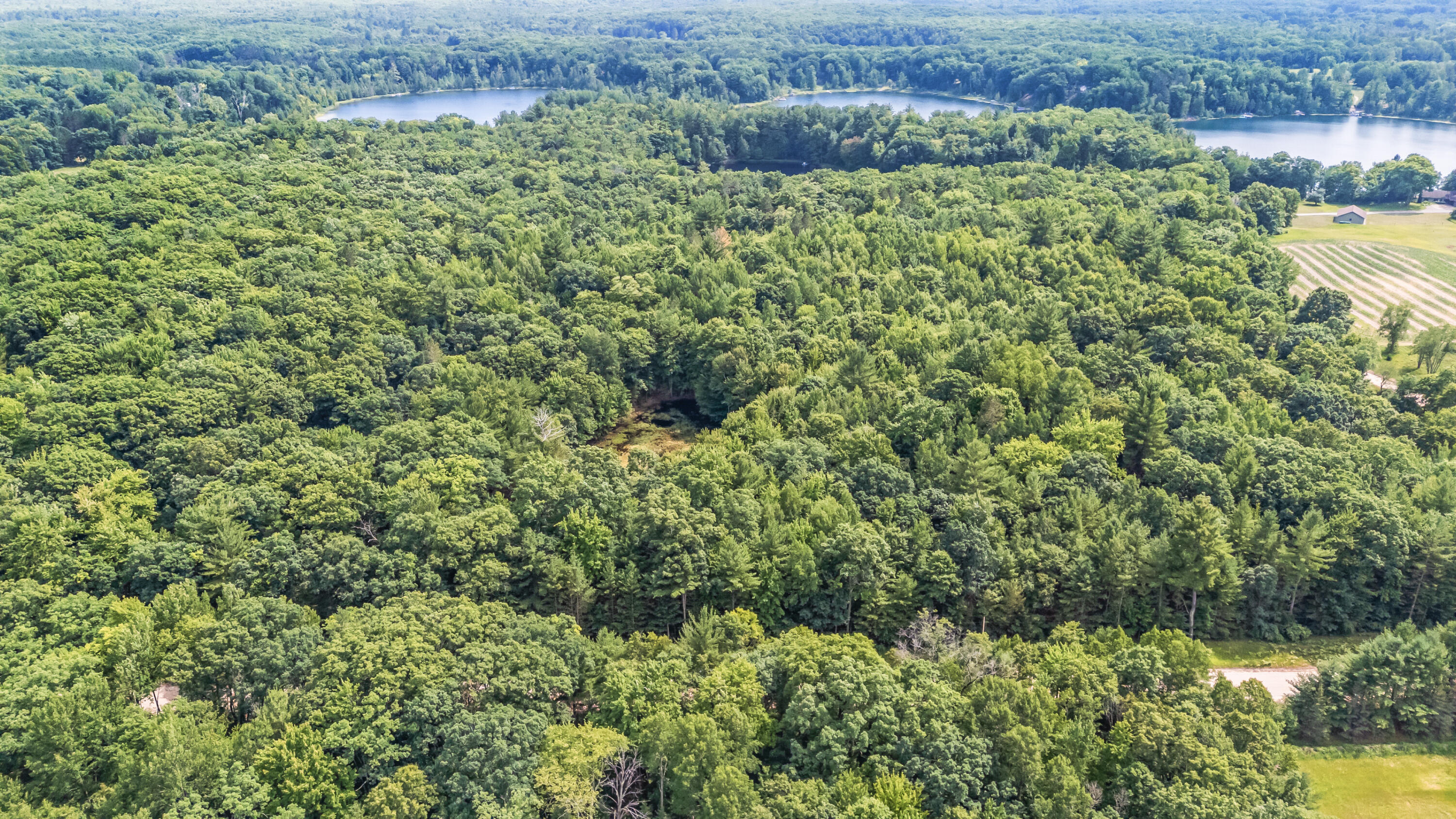 15 West 12 Mile Road Irons, MI 49644 - Photo 28 of 32 Lot15-12MileRd-Irons-24