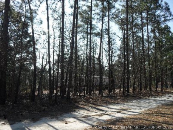 7 C Ed Thomas Road Cameron, NC 28326 - Photo 1 of 1 a view of a yard with trees