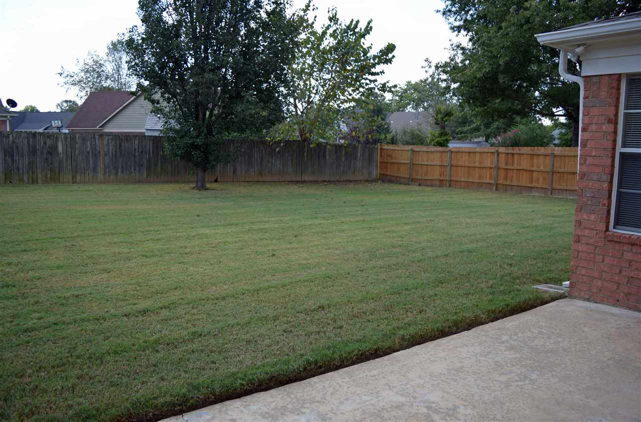 257 Wolf Ridge Cove Collierville, TN 38017 - Photo 20 of 21