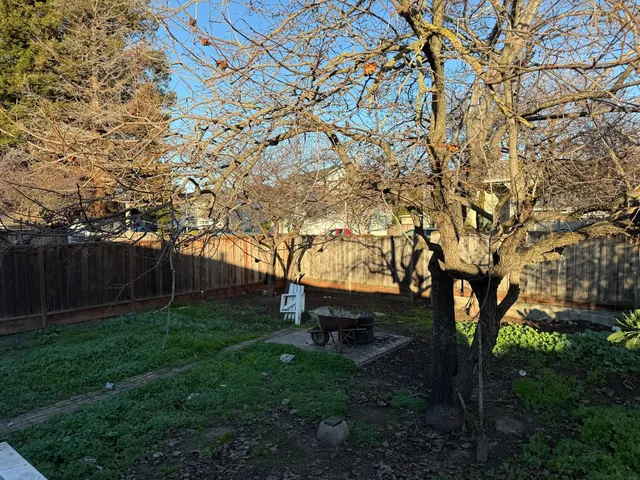 a backyard of a house with lots of plants and trees