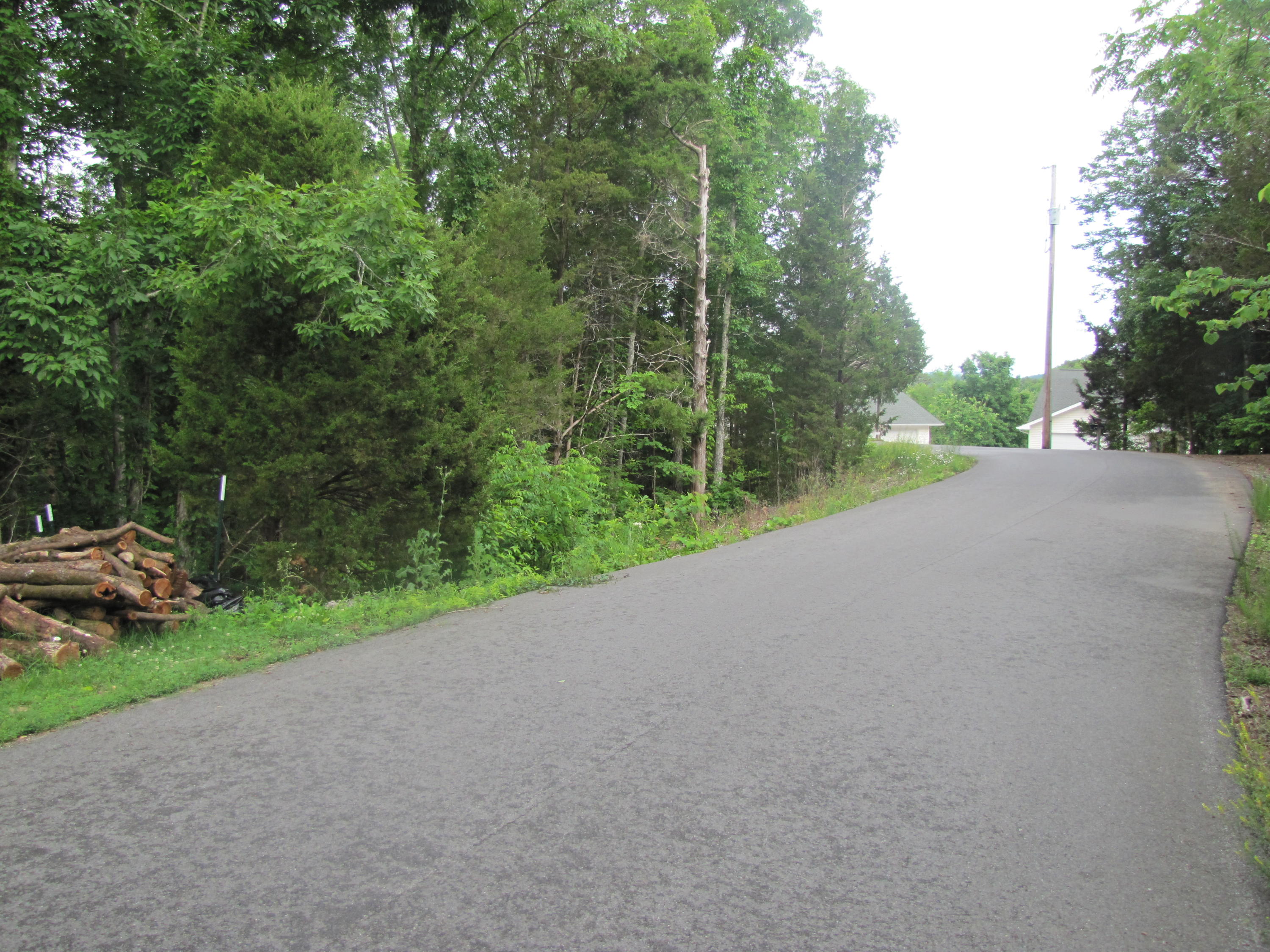 Lot 1 Redbud View Road Sevierville, TN 37876 - Photo 2 of 25 IMG_2774