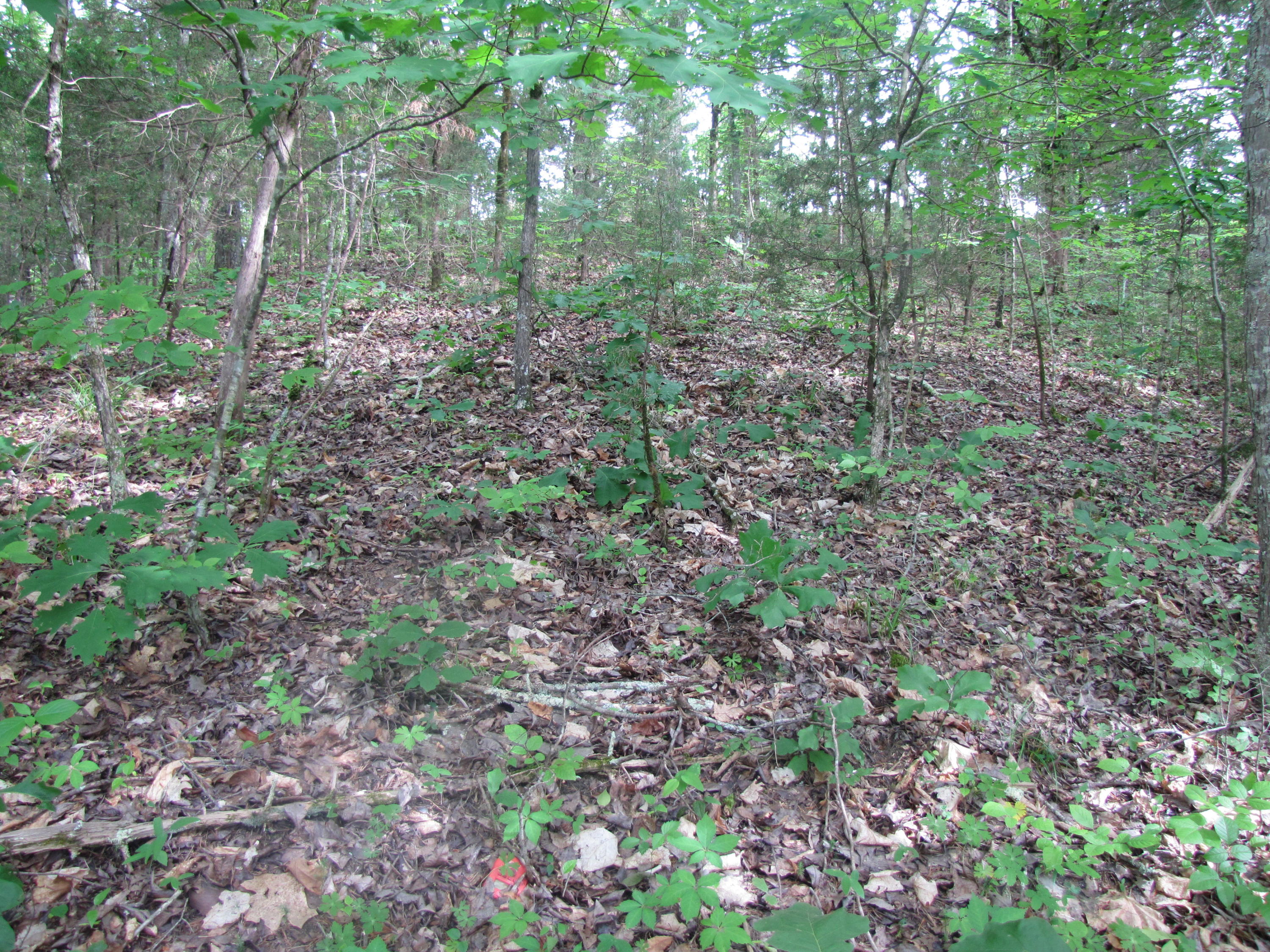 Lot 1 Redbud View Road Sevierville, TN 37876 - Photo 11 of 25 IMG_2783