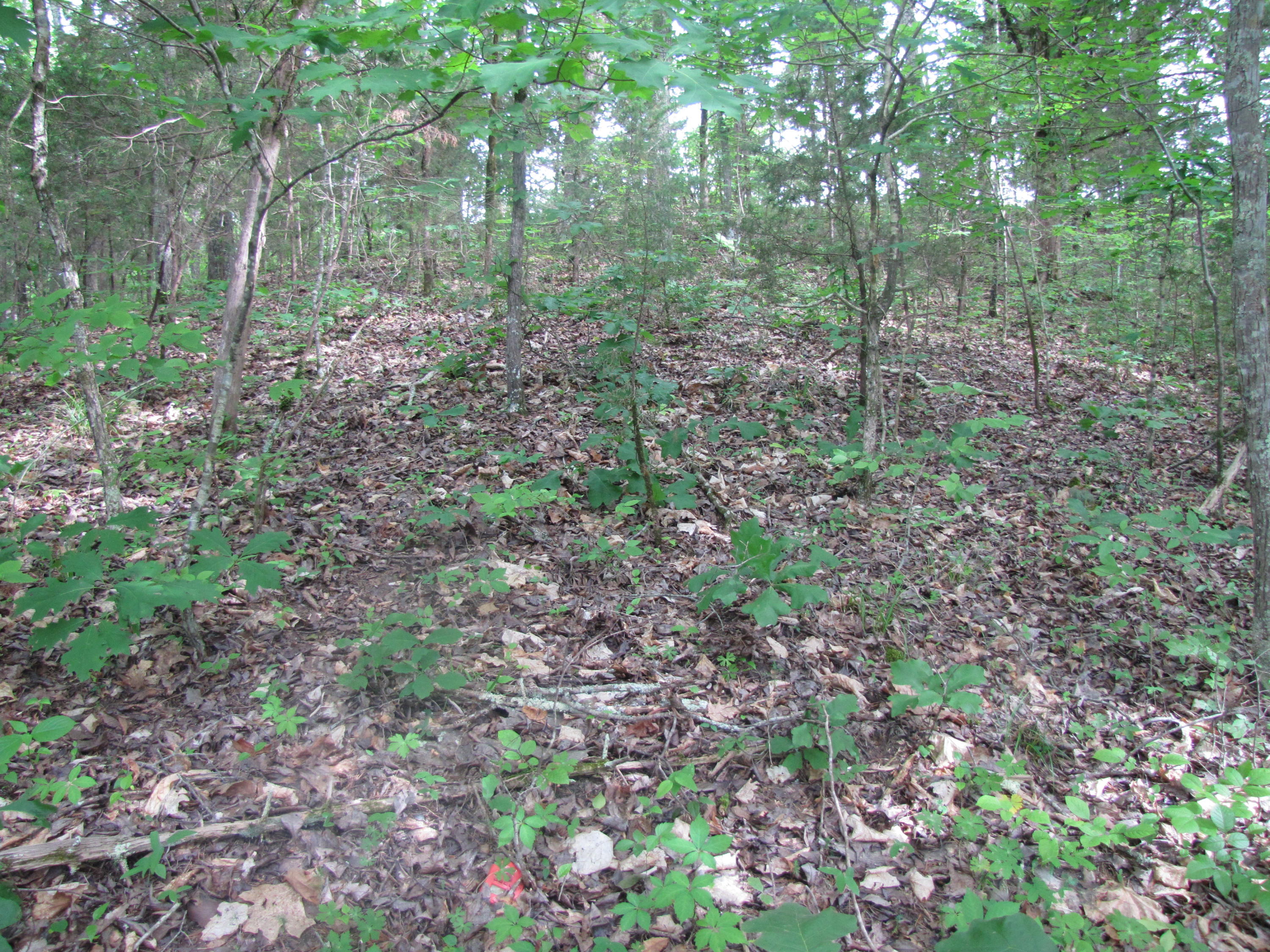 Lot 1 Redbud View Road Sevierville, TN 37876 - Photo 12 of 25 IMG_2784