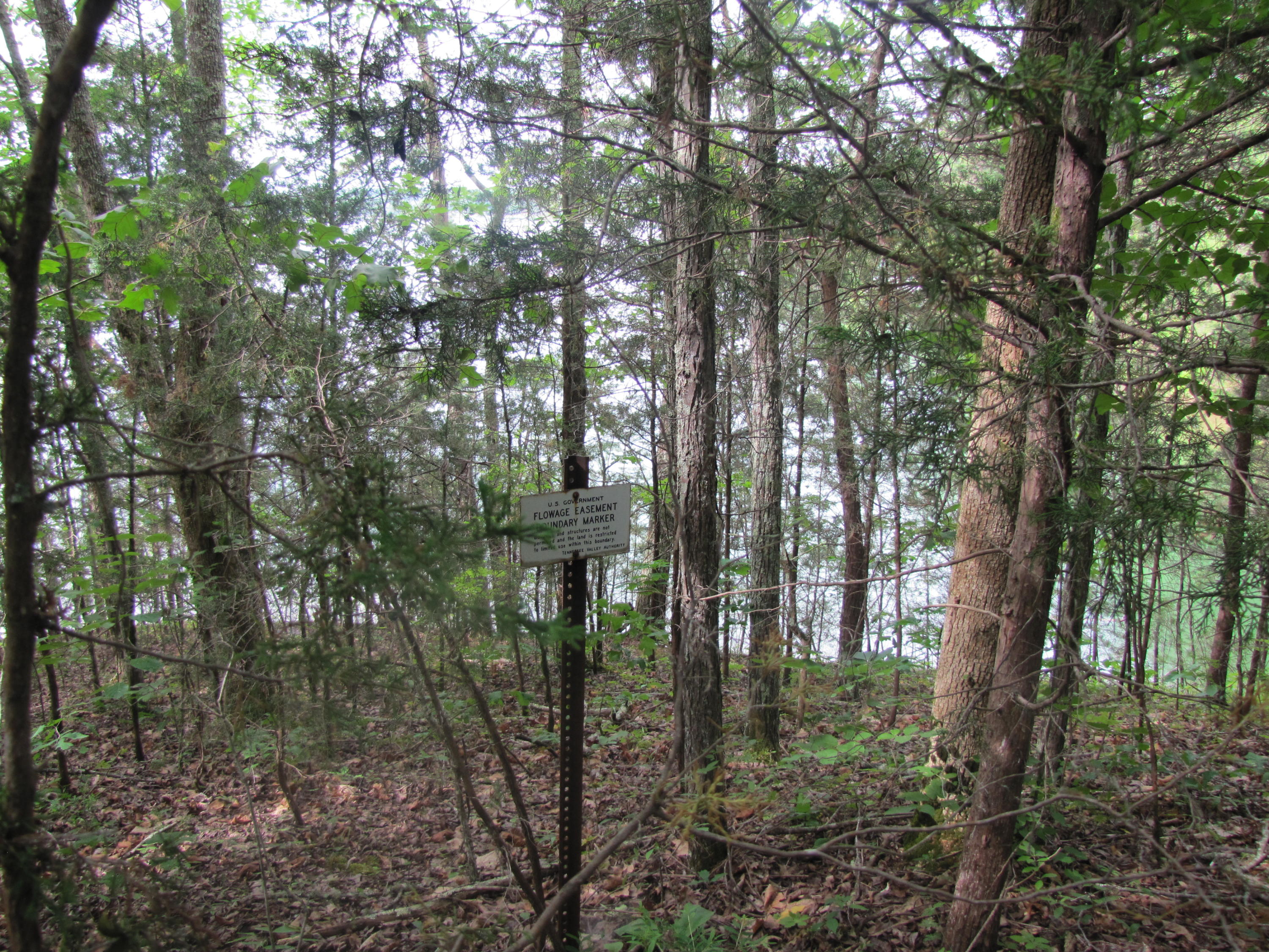 Lot 1 Redbud View Road Sevierville, TN 37876 - Photo 14 of 25 IMG_2786
