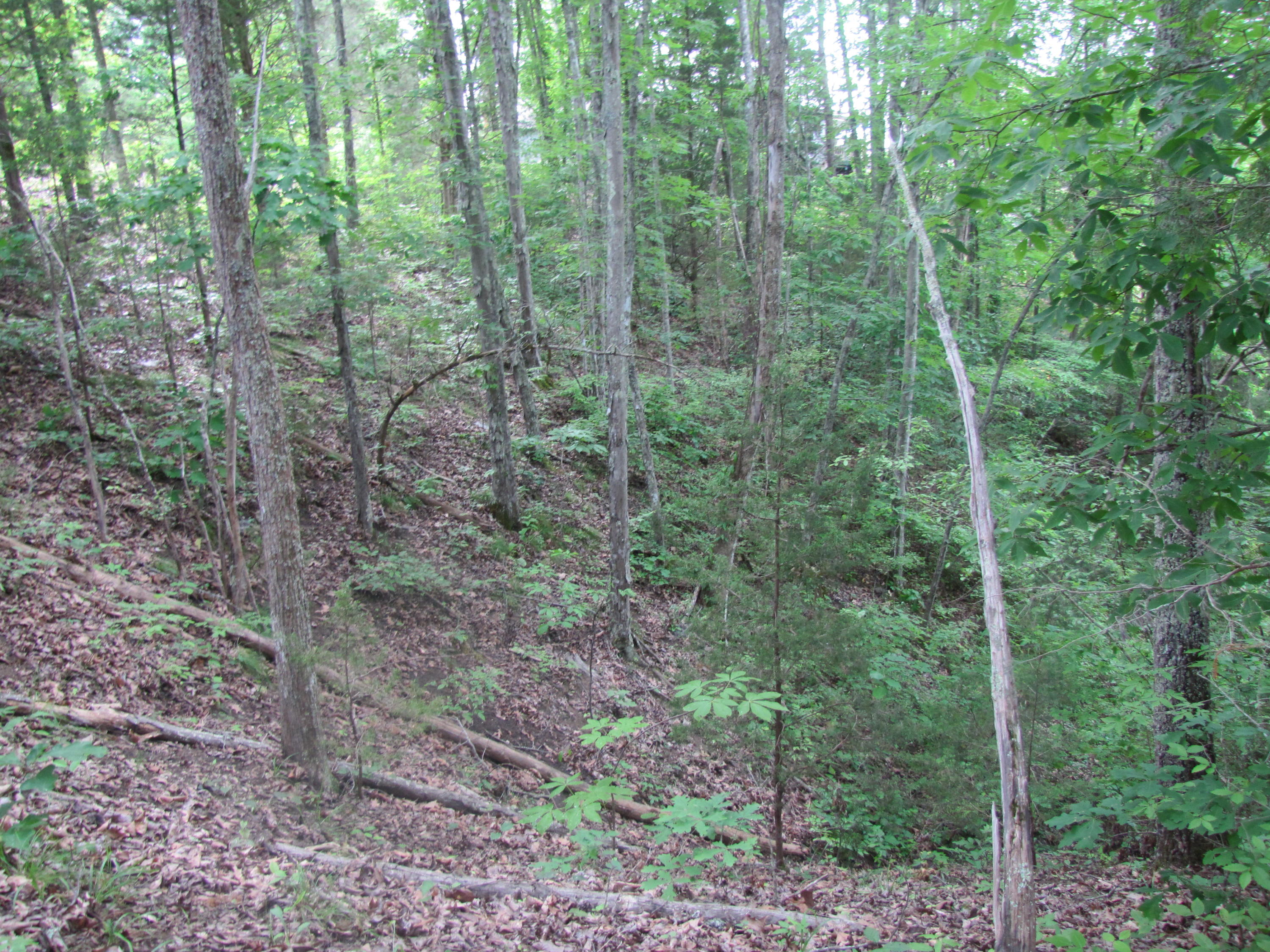 Lot 1 Redbud View Road Sevierville, TN 37876 - Photo 15 of 25 IMG_2788