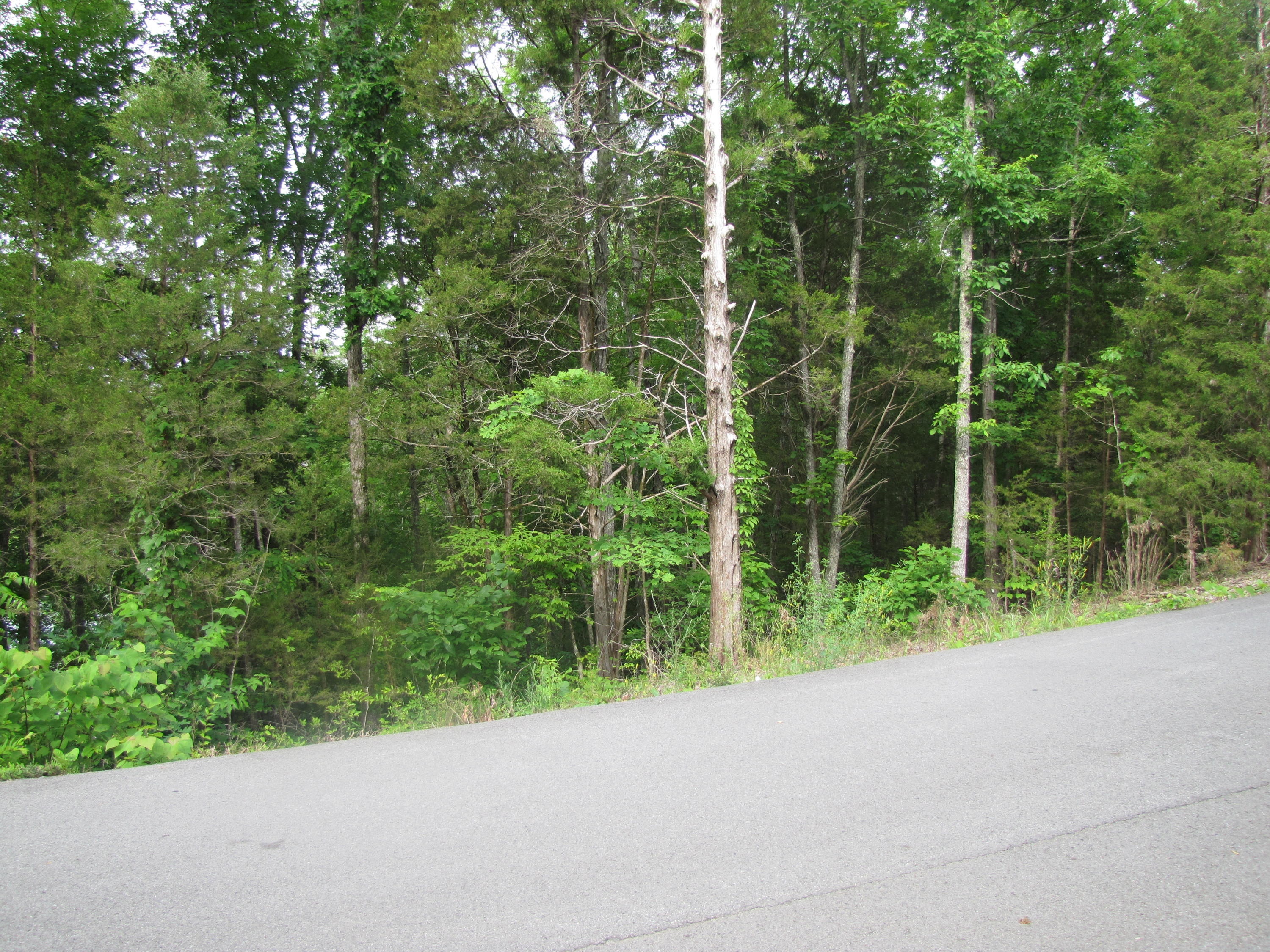 Lot 1 Redbud View Road Sevierville, TN 37876 - Photo 17 of 25 IMG_2791